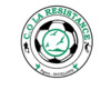 RESISTANCE BOUILLANT