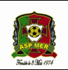 MER ASP