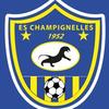 CHAMPIGNELLES/CHARNY