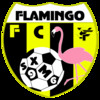 F.C. FLAMINGO