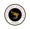 DRAGONS NIORTAIS