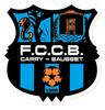 FCCB CARRY SAUSSET 31